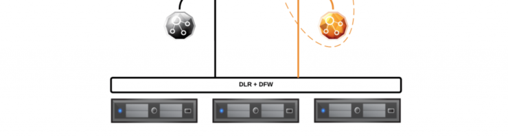 DLR and DLR control VMs