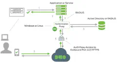 Duo auth proxy architecture