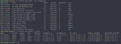 Running K8s cluster with VCP