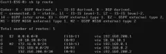 OSPF discovered routes in routing table